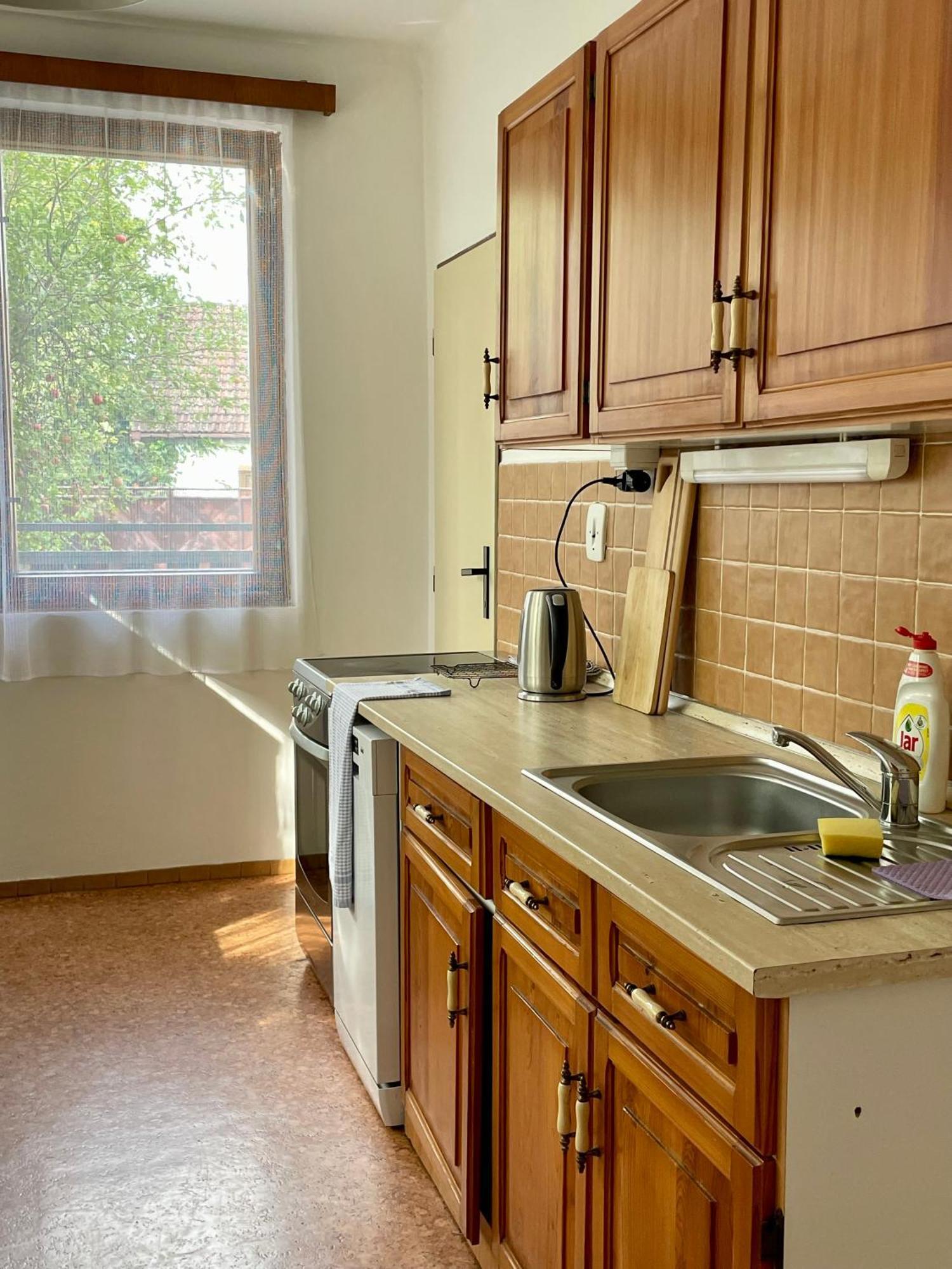 Apartment S Terasou Lysa Lysá nad Labem Buitenkant foto
